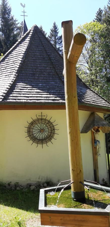 Apartment Annis Panoramablick Pool Sauna Tennis Schonach im Schwarzwald Exterior foto